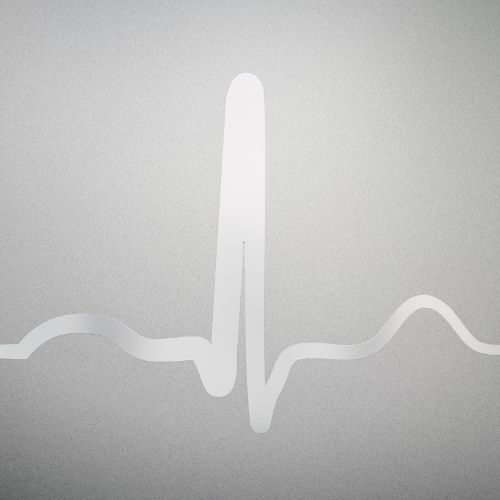 Seelbach Detail (1)